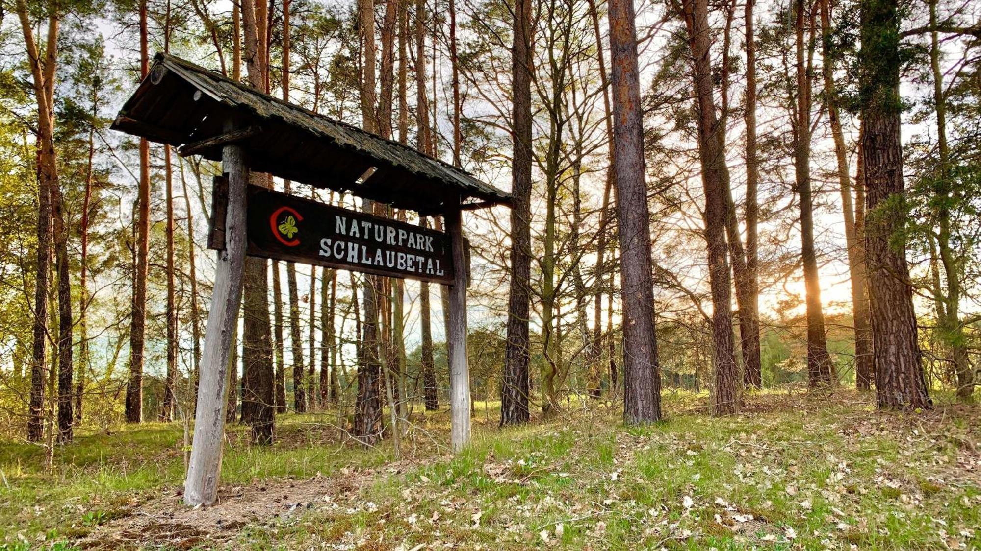 Naturnahe Gaestewohnung Im Heidelandhaus Henzendorf Neuzelle Exteriér fotografie